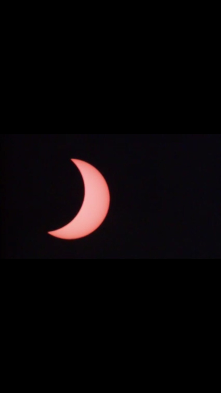 The partial solar eclipse, 20th March 2015 - photograph by Luke Michell